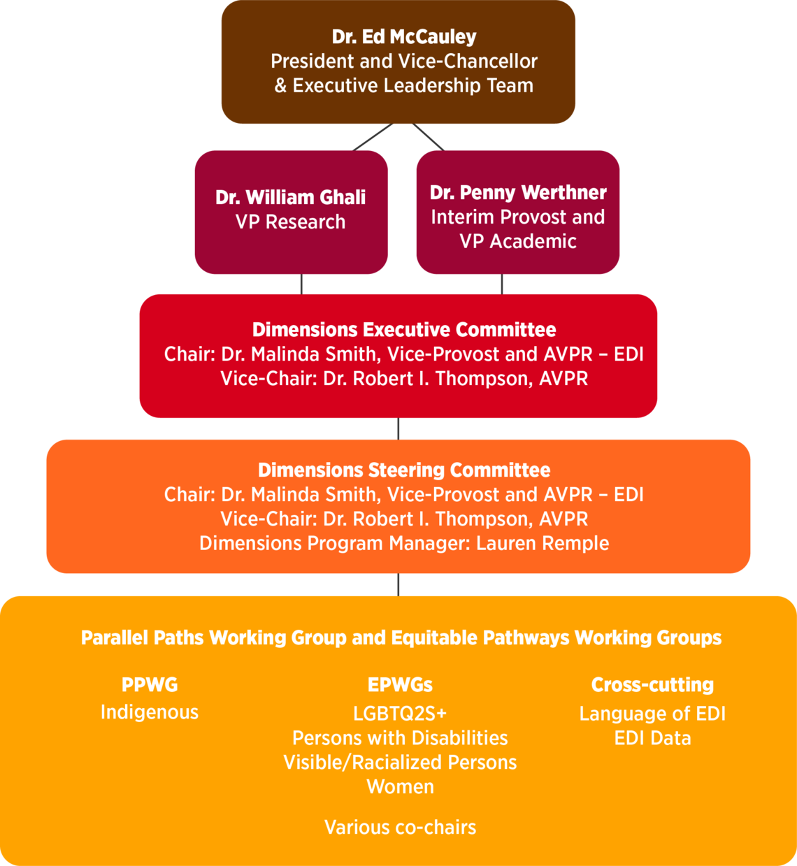 Dimensions governance structure